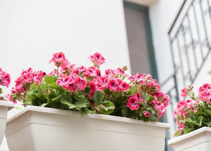 Bed and Breakfast Il Cortiletto Porto Cesareo